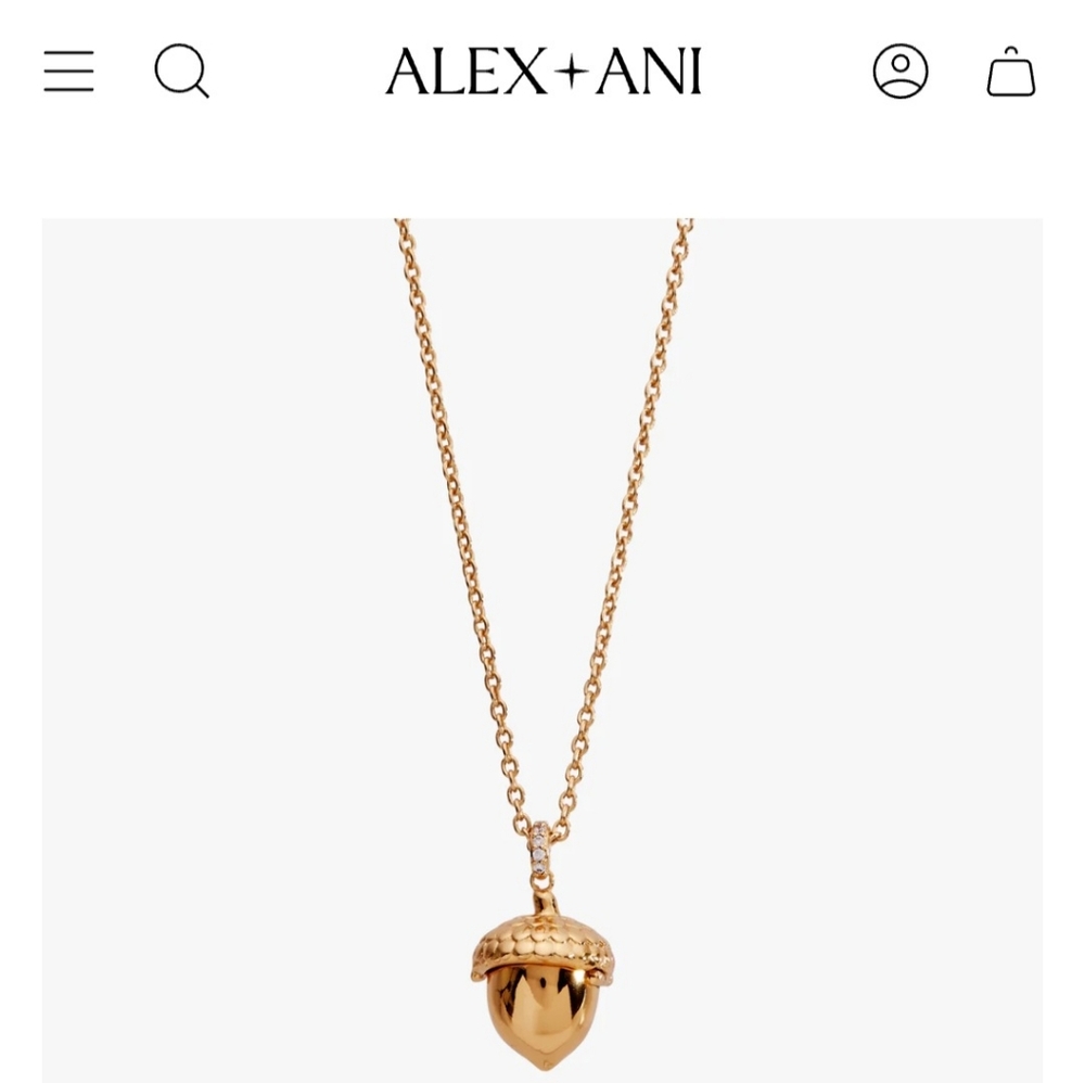 Alex + Ani Woodland Acorn Locket Necklace
